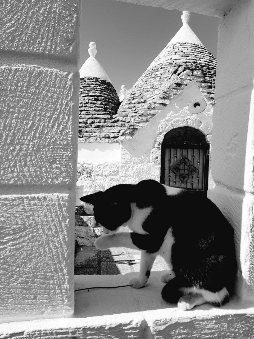 Trulli Aurasia Ostuni Dış mekan fotoğraf