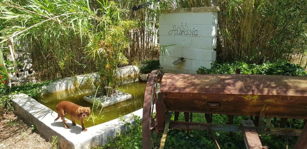 Trulli Aurasia Ostuni Dış mekan fotoğraf