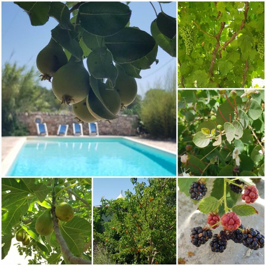 Trulli Aurasia Ostuni Dış mekan fotoğraf